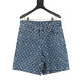 Louis Vuitton New Denim Shorts